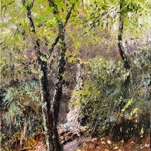 Another of Nine-springs waterfalls