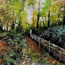 Nine Springs country park