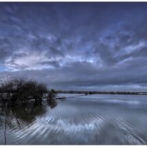 Muchelney floods 2  2022