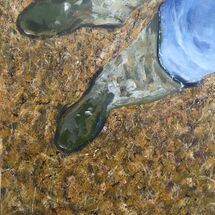 My Wellies