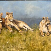Lions, Africa, oil painting