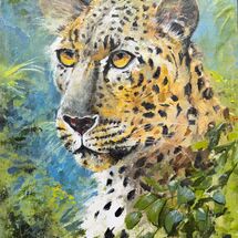 Jaguar, Lord of the Jungle