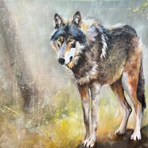 Lord of the wild wood