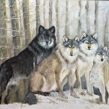 Timber wolves: oil on canvas