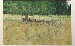 The gathering (RichmondPark)