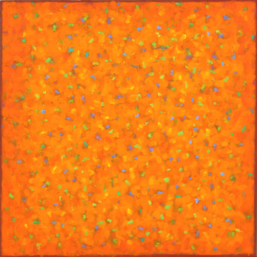 'Orange Squash ' acrylic on canvas 60x60cm 2019