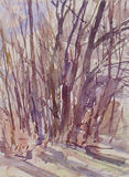 Boundary Covert 1 March 1995