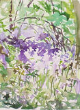 Eastbury Woods 1-May 1997