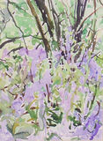 Eastbury Woods 2 May 1997