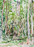 Lynch Wood 2 June 1996