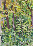 Lynch Wood 4 Sept 1995