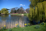 Askham Richard Yorkshire