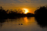 Sunset over Attenborugh Reserve