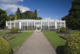 Camellia House - Wollaton Park