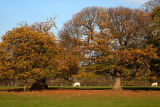 Fulbeck Lincolnshire