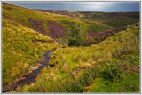 Gunnerside View Yorkshire Dales
