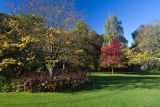 Harlow Carr Yorkshire