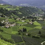 Merano Orchards