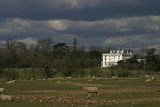 Colston bassett Hall