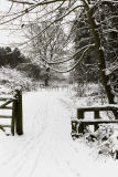 Snowy track