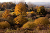 Autumn in the Vale