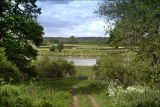 Trent View
