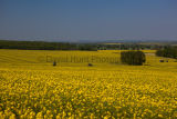 Vale of Belvoir