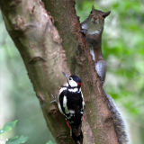 Close Encounter
