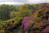 Near Hathersage