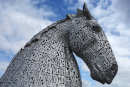 Kelpie