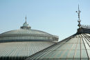 Glasgow Botanic Gardens