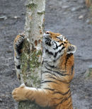 Climb
