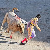 Bull fight, Arles, France