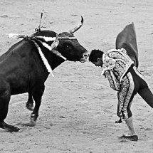 Bull fighter's kiss of death