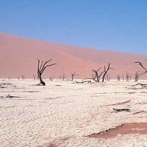 Dead vlei, Namibia