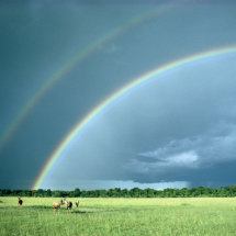 Rainbows and Topi