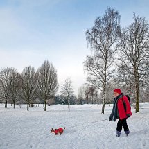 Winter walk with dog