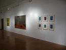 Where I End And You Begin, 2012, Derby Museum & Art Gallery