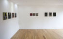 Wealth Of Ages, Tarpey Gallery, 2013