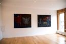 The Archeaology of Warrens & Other Habitats, Tarpey Gallery, 2010