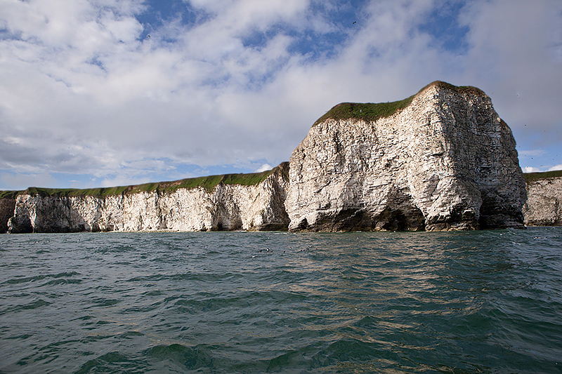 Flamborough/Bempton Cliffs