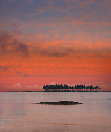 Ruataniwha Inlet, Golden Bay