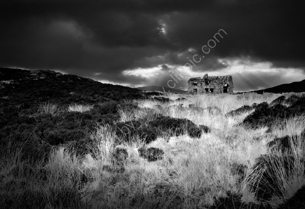 Dereliction