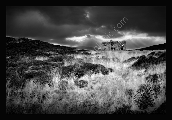Dereliction
