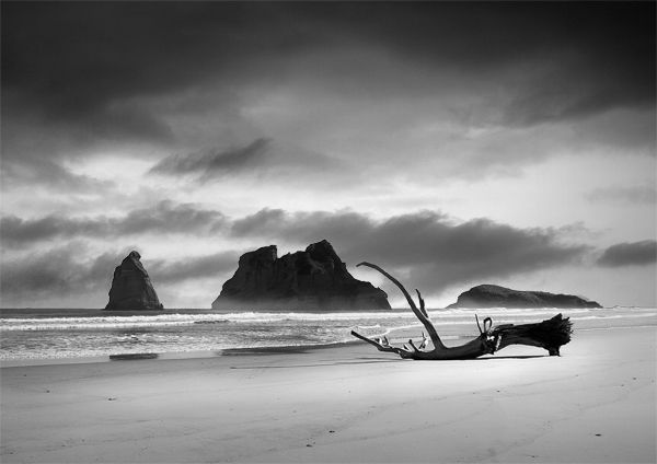 Flotsam on beach by Cape Farewell