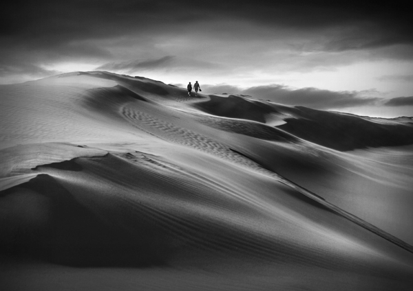 Farewell Spit dunes