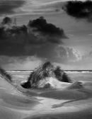 Farewell Spit