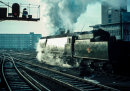 34006 "Bude" at Waterloo, 1962