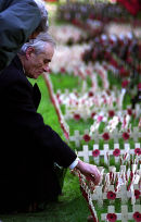 Field of Remembrance, Westminster Abbey