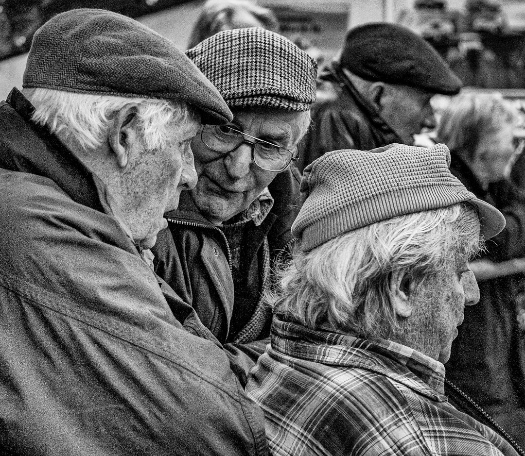 Sheep Sale in Hawes, Yorkshire